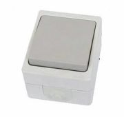 Выключатель 1кл о/у 10А Вуокса IP54 TDM